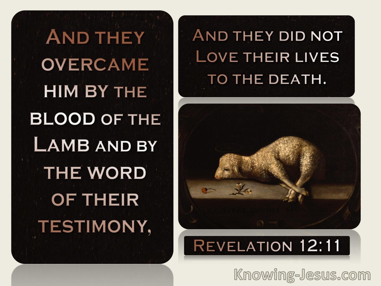 Revelation 12:11The Blood Of The Lamb And Word Of Their Testimony (cream)